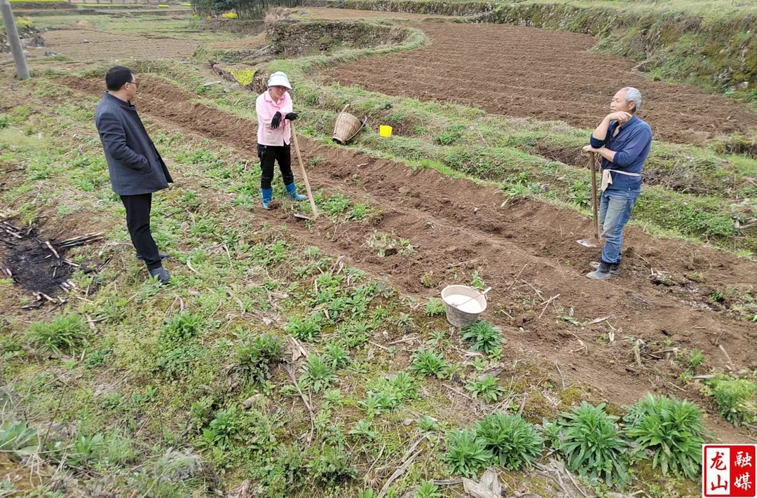 县委党校：驻村工作队走进田间取经