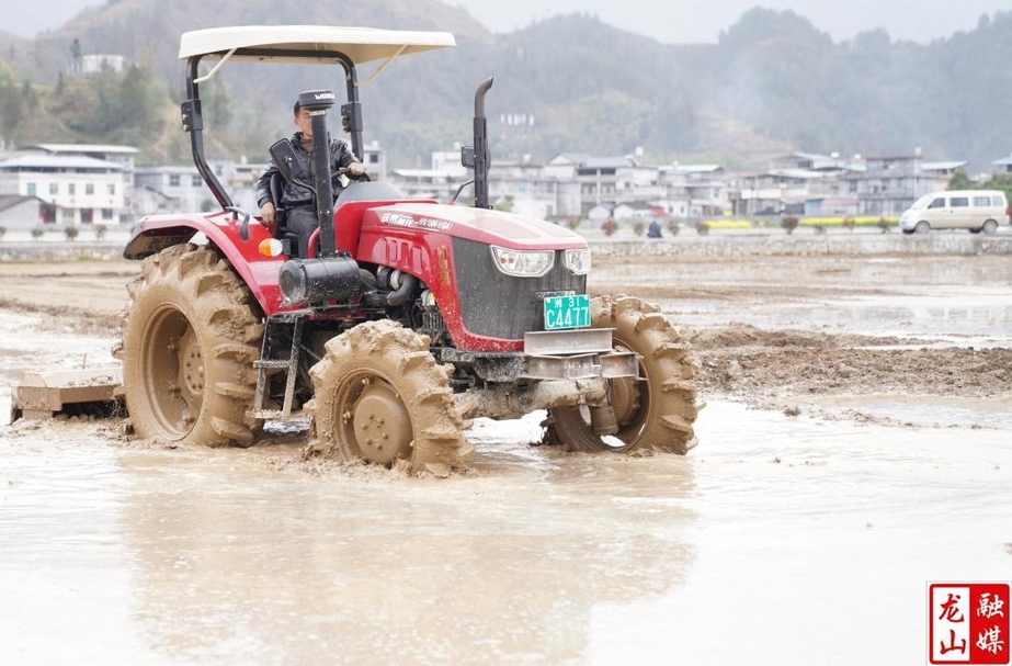 龙山：抢抓晴好天气加快高标准农田建设实现农业高效节水发展