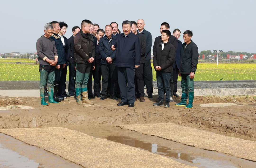联播+|抓好春耕备耕 总书记开出“良”方