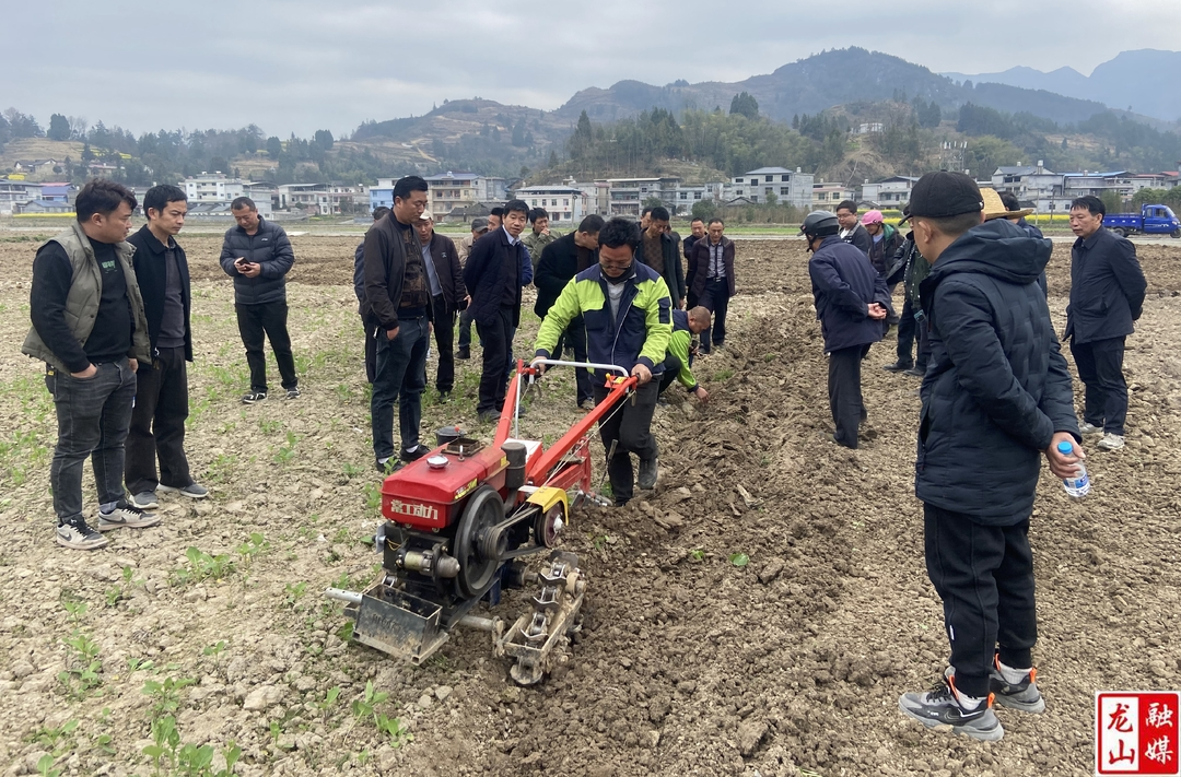 2024年全县农机农艺融合适用农机验证示范现场会召开