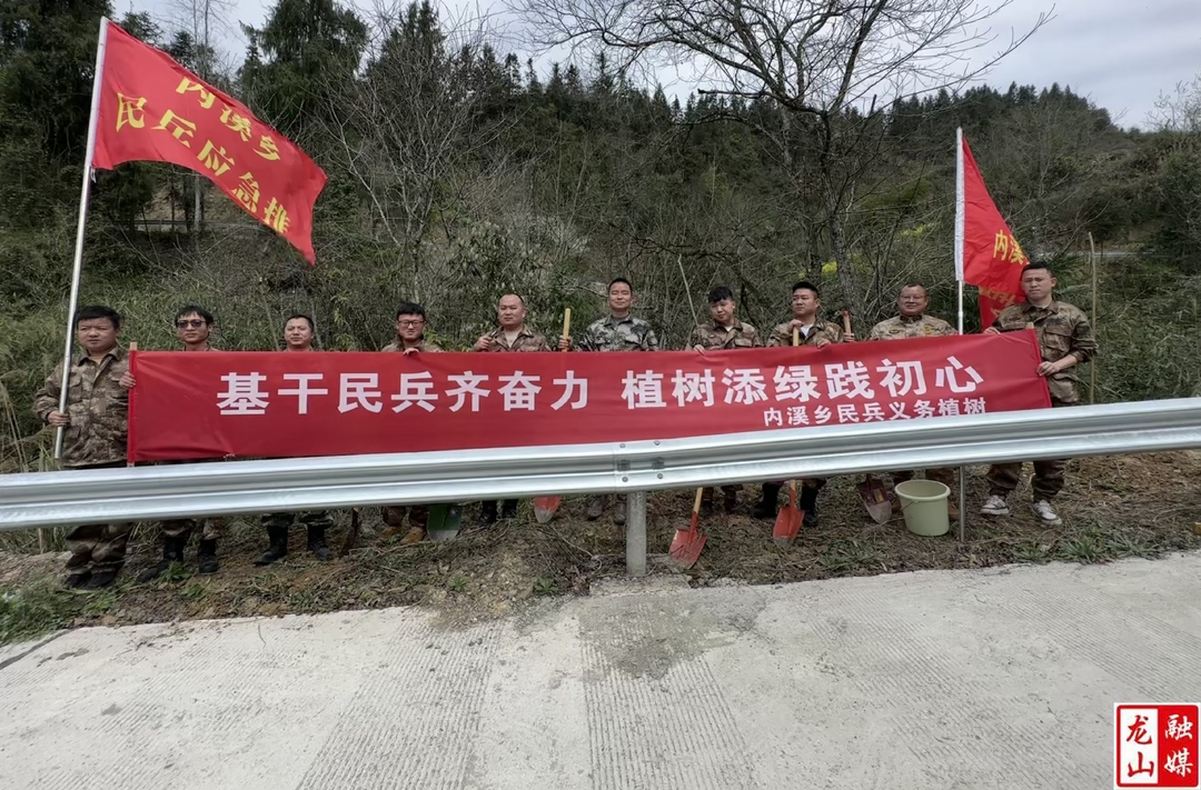 内溪乡：基干民兵齐奋力 植树填绿践初心
