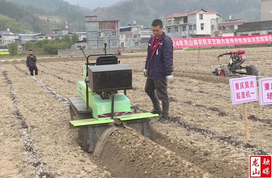 召市镇：烤烟生产备耕忙