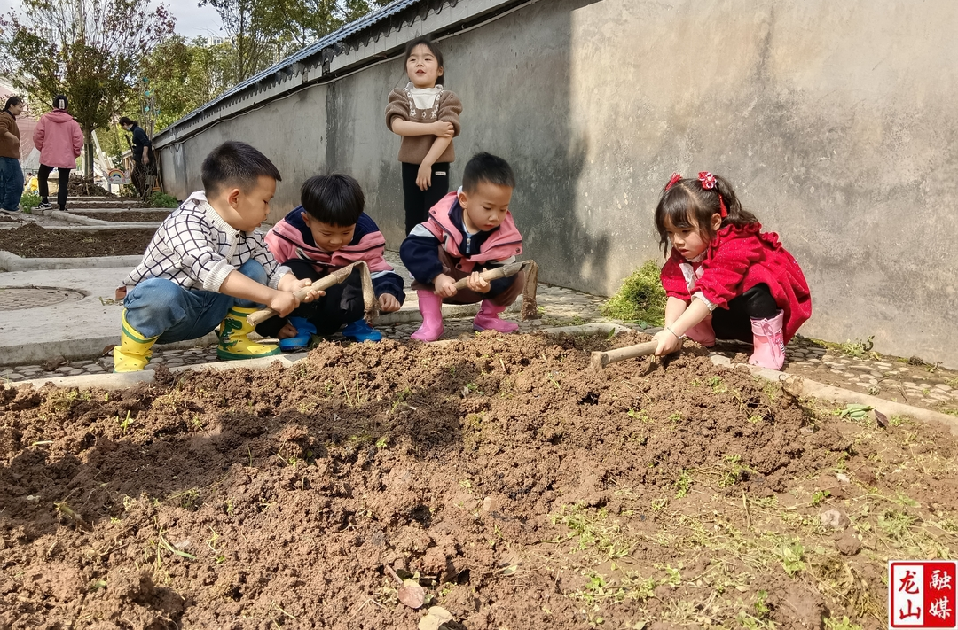 第一幼儿园：播种绿色希望 共绘春耕画卷