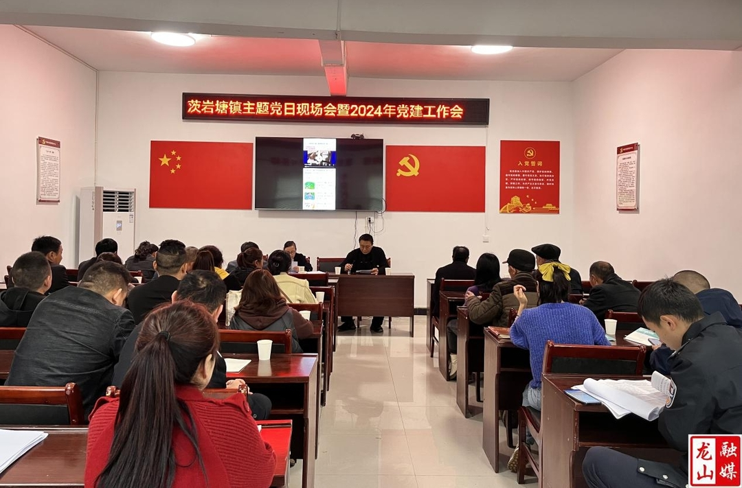 茨岩塘镇召开主题党日现场会暨2024年党建工作会