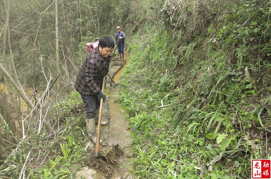 洛塔乡热家村：修水渠保灌溉  助力村民农业增收