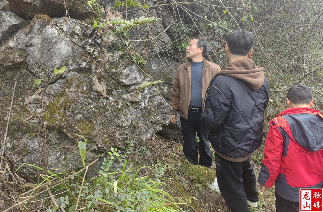 红岩溪镇开展汛期巡查工作