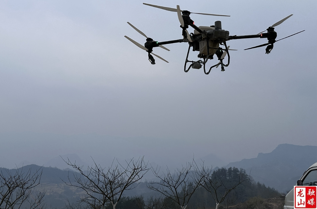 内溪乡：“空中扫毒”利器助力禁种铲毒