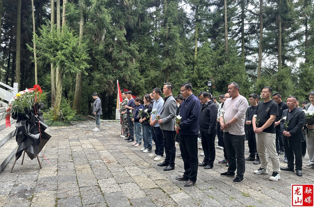 水田坝镇开展清明节祭扫先烈活动