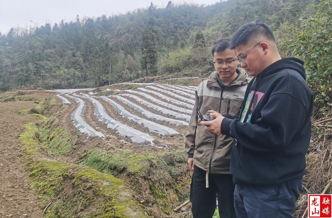 大安乡“耕地智保”  无人机巡田 严守耕地红线