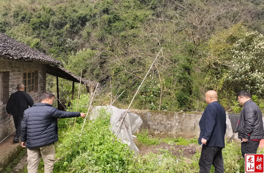 洗车河镇：春暖花开季 禁种铲毒正当时