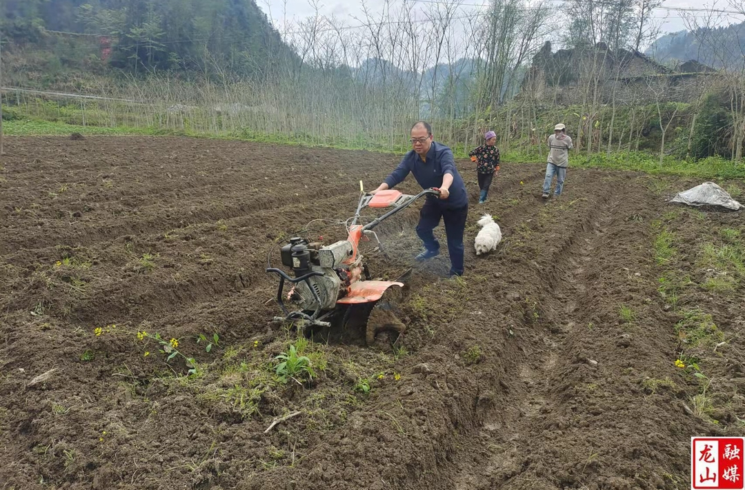 大安乡：按下春耕备耕加速键 全力备战烤烟种植季
