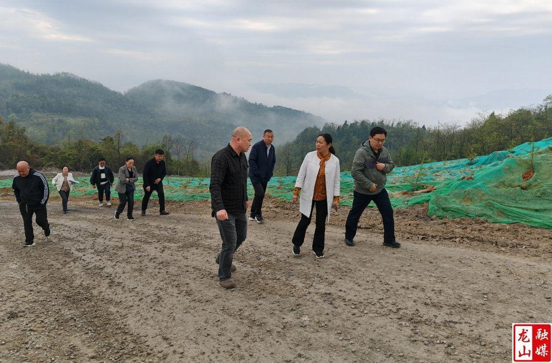 唐晓萍到茨岩塘镇调研环保工作