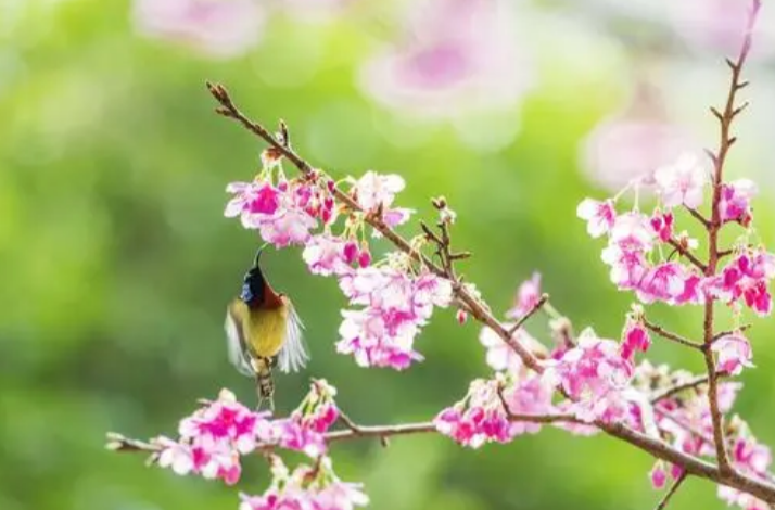 大幅回暖！全国天气冲击30℃甚至同期最暖纪录