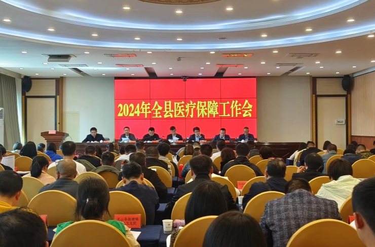 龙山县2024年医疗保障工作会议召开