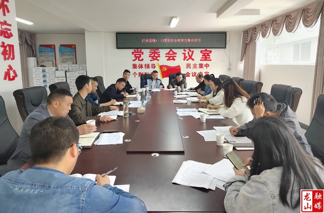 红岩溪镇开展“4.15”全民国家安全教育专题学习