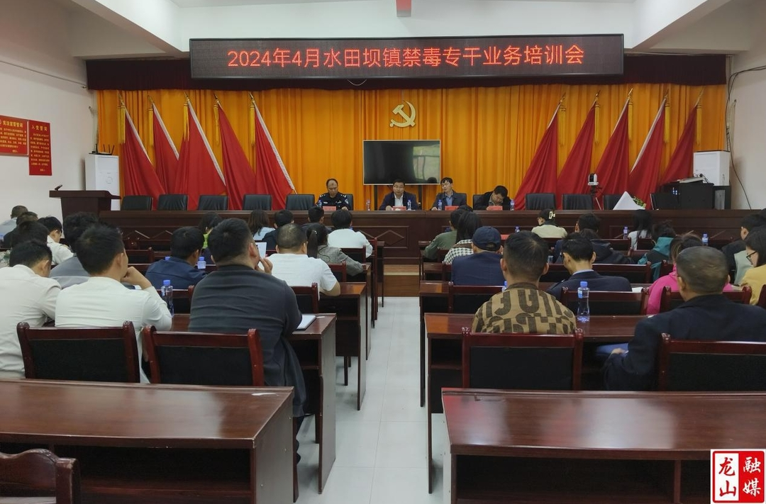 水田坝镇召开禁毒专干业务培训会