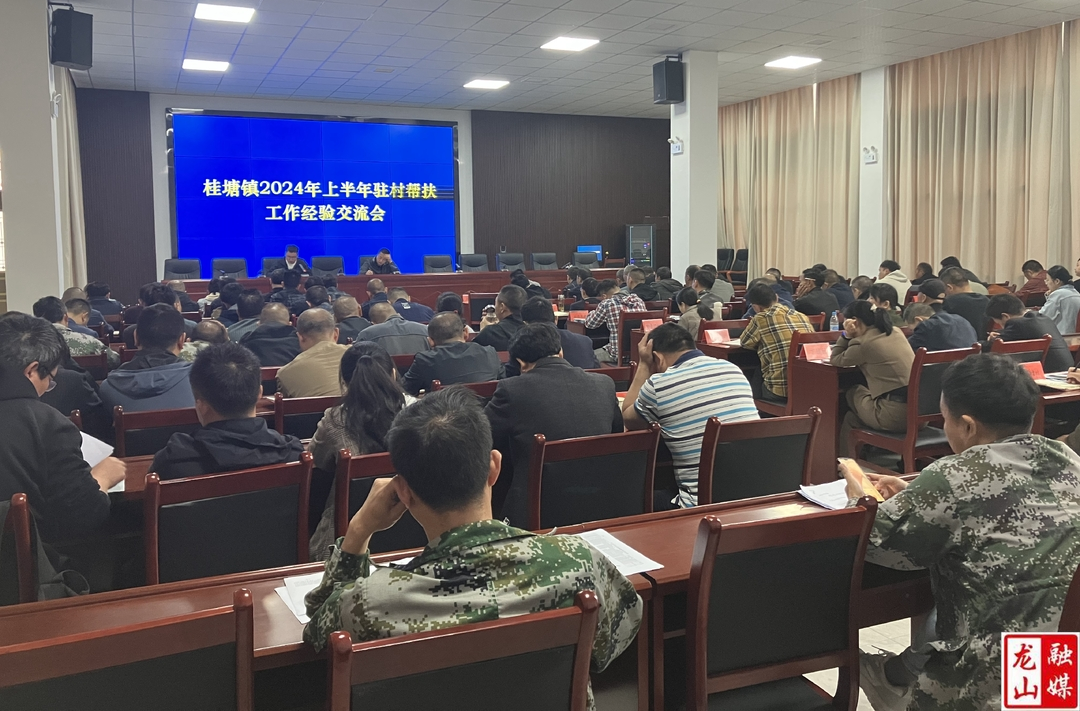 桂塘镇召开2024年上半年驻村帮扶工作经验交流会