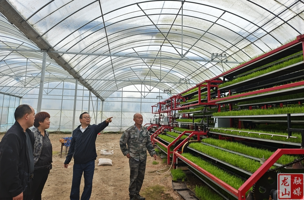 县农机事务中心：送技下乡  助力春耕备耕