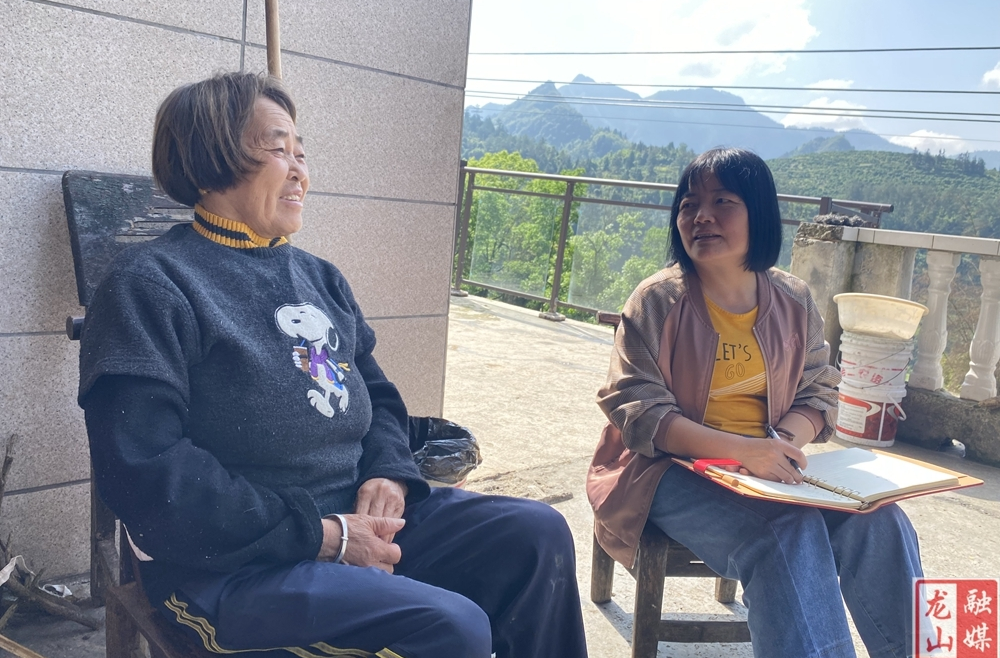 里耶镇开展乡村振兴入户走访活动