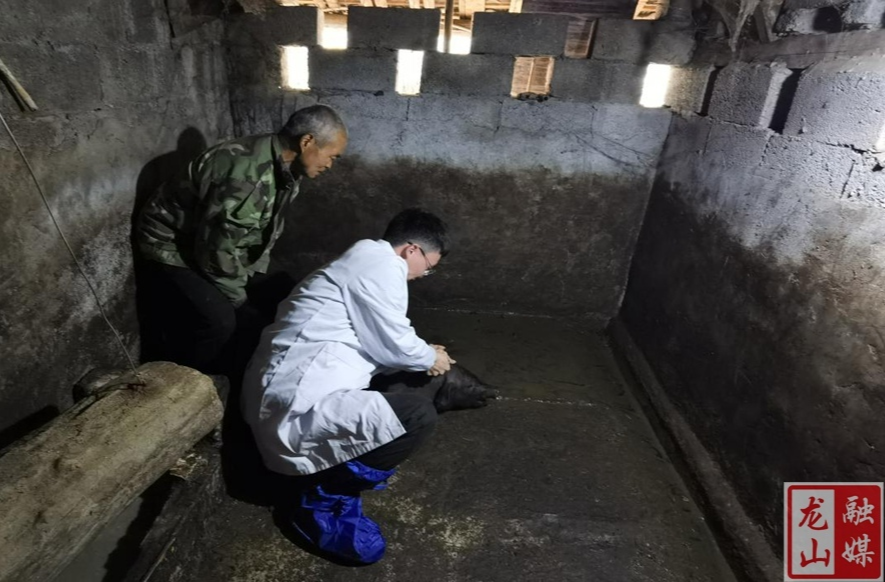 县畜牧水产事务中心：用心用情解民忧 上门专业服务做防疫