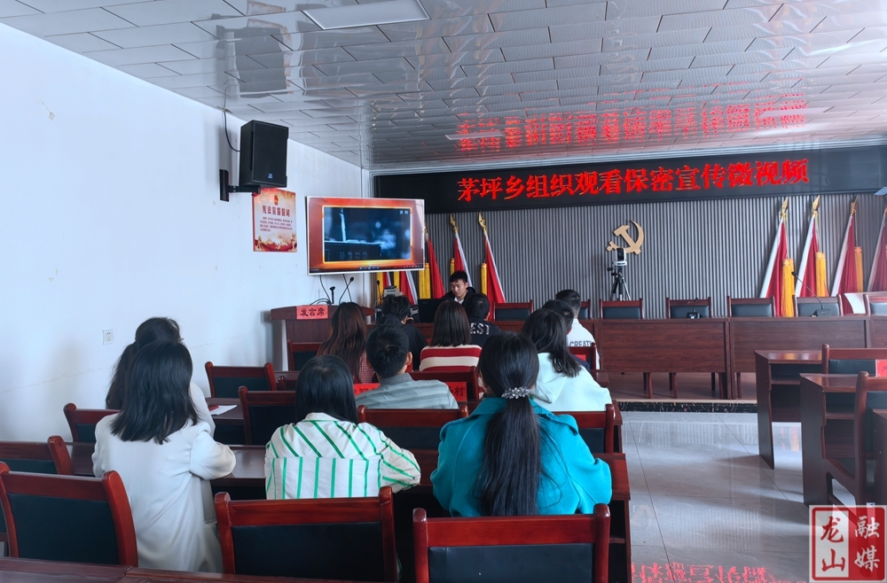 茅坪乡组织干部职工观看保密宣传微视频