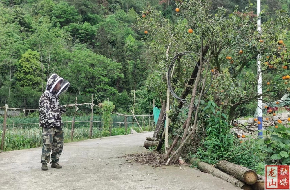 里耶镇：“三长”微服务  “陌邻”变“睦邻”