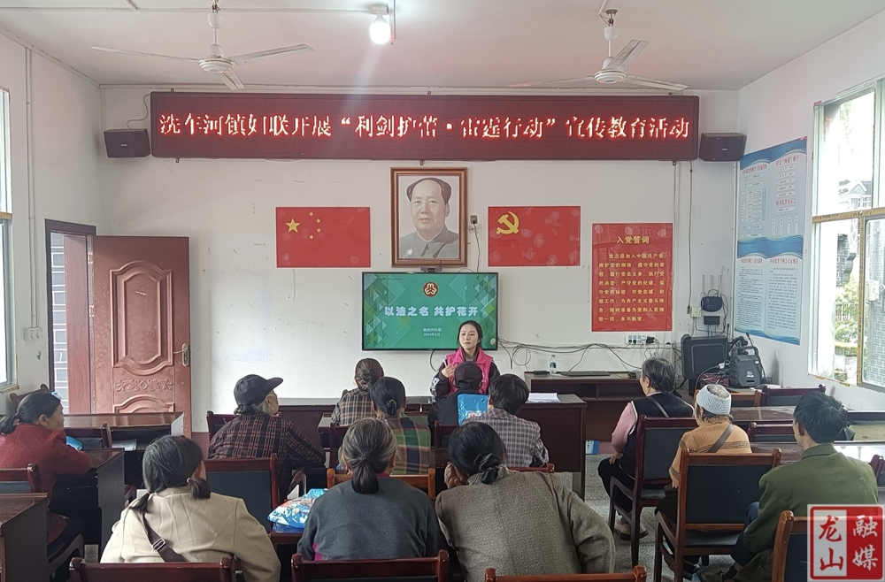 洗车河镇：以“法”之名 共护民族之“花”