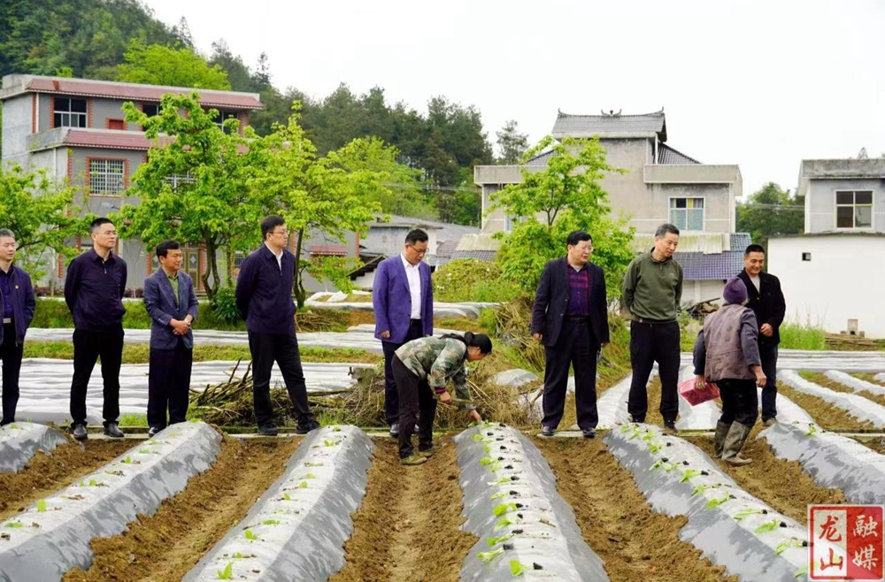 长沙雨花经济开发区来龙山调研乡村振兴工作