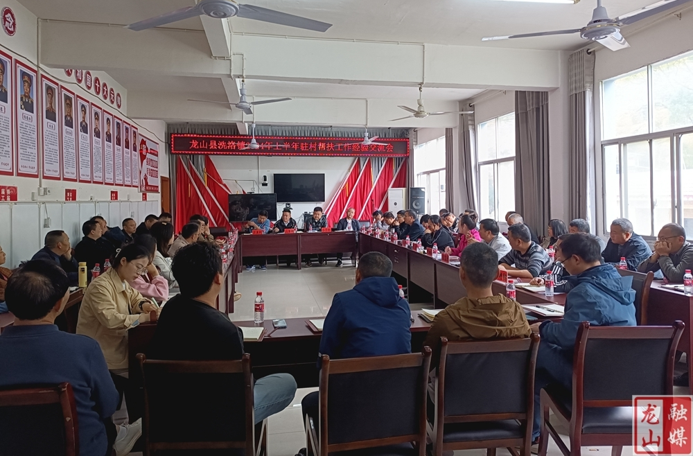 洗洛镇召开2024年上半年驻村帮扶工作经验交流会
