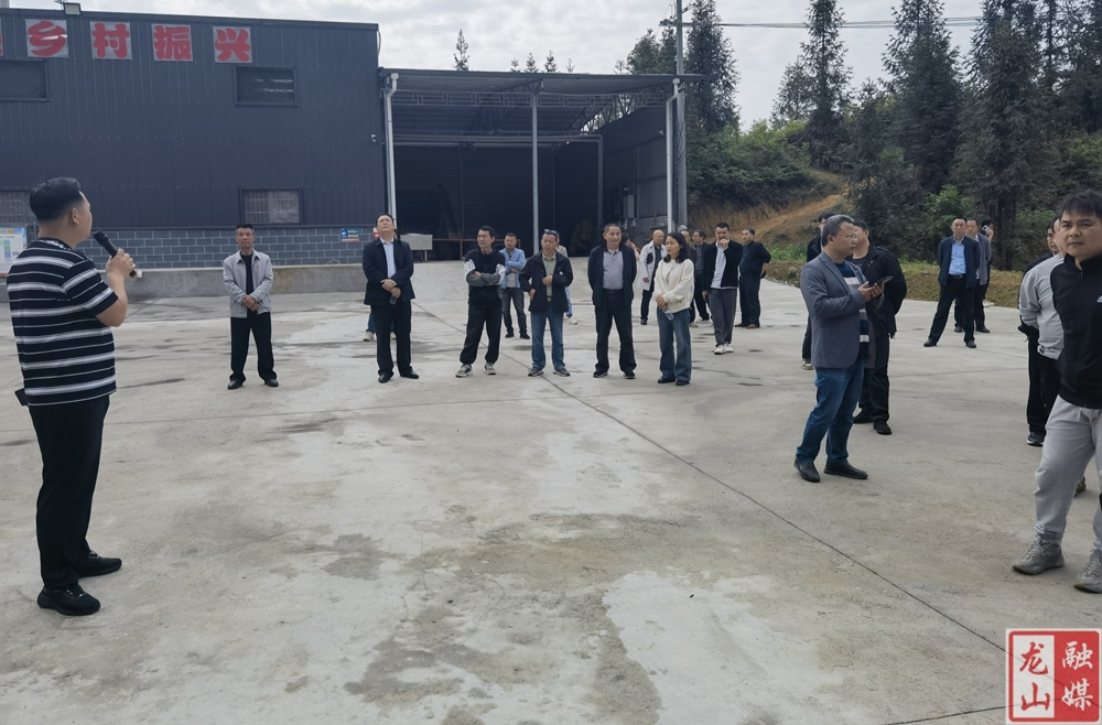 召市镇组织驻村工作队开展实地学习考察