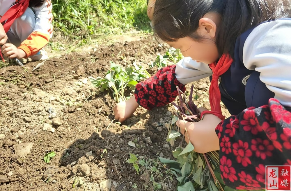 大安小学举行春耕活动