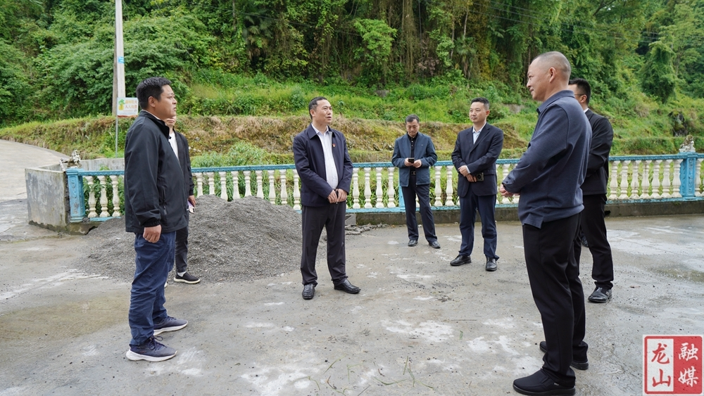 周胜益到石牌镇、石羔街道调研