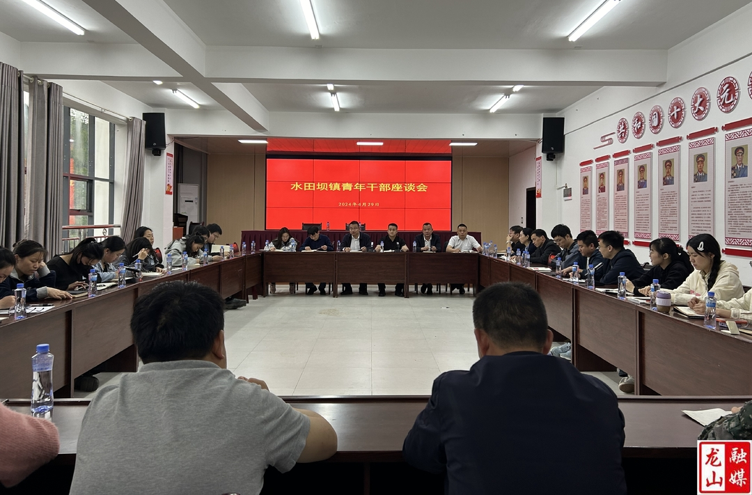 水田坝镇开展“五四”青年节主题活动