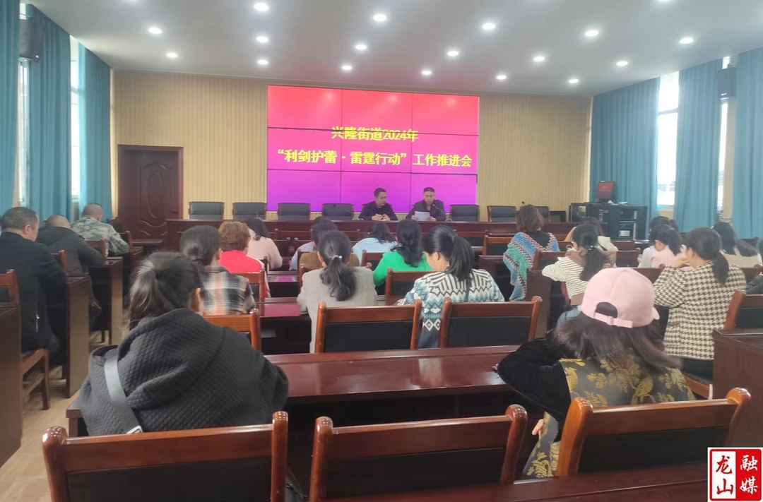 兴隆街道召开“利剑护蕾·雷霆行动”工作推进会