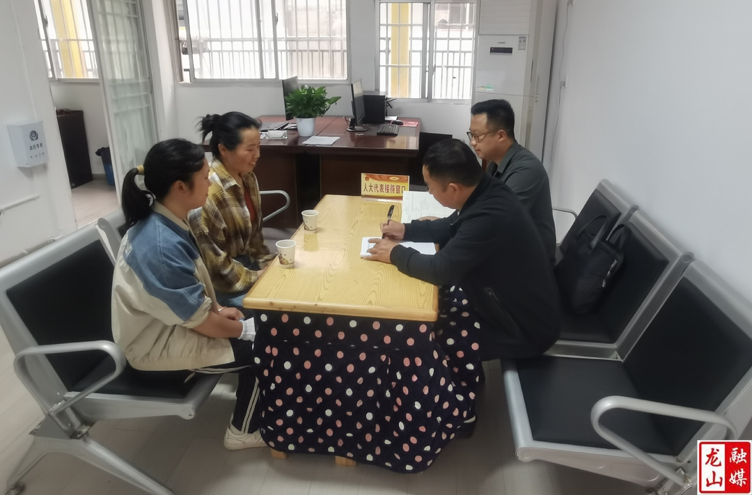 大安乡开展人大代表接待群众日活动