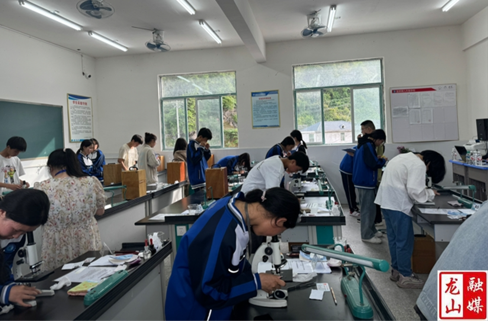 “实”践出真理 考“验”显锋芒