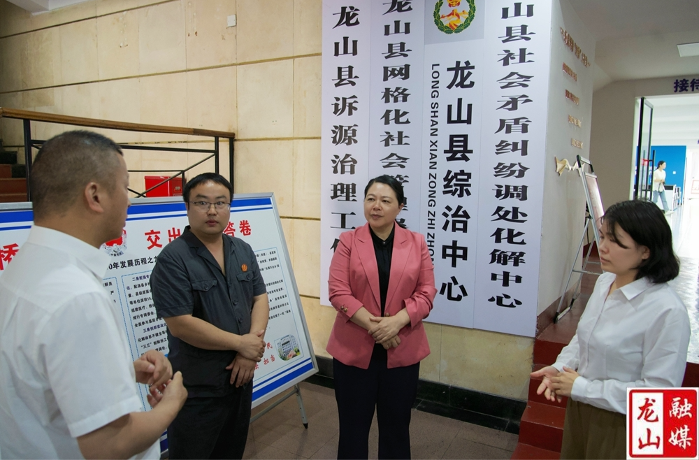 吴凌频到龙山县调研指导人大工作