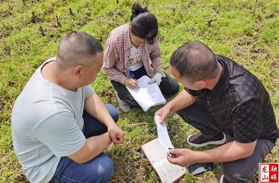 靛房镇积极开展秸秆禁烧宣传活动