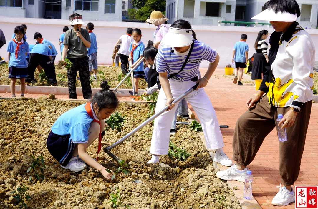 第六小学举行校园劳动实践基地竣工庆典