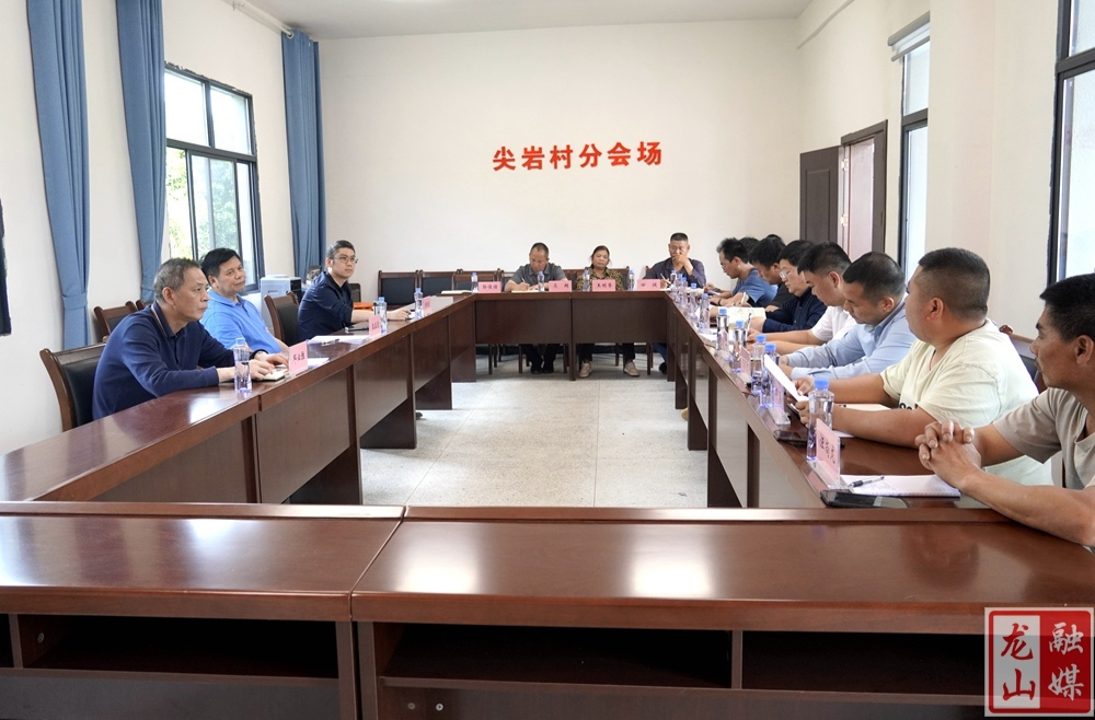 省教育厅一行到兴隆街道尖岩村开展调研