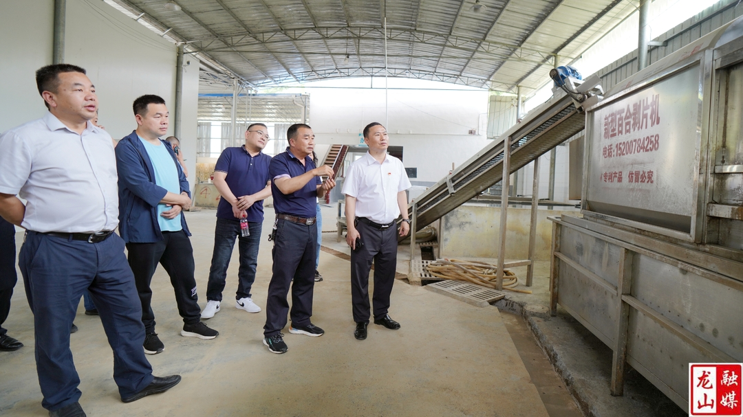 周胜益调研百合产业链建设情况