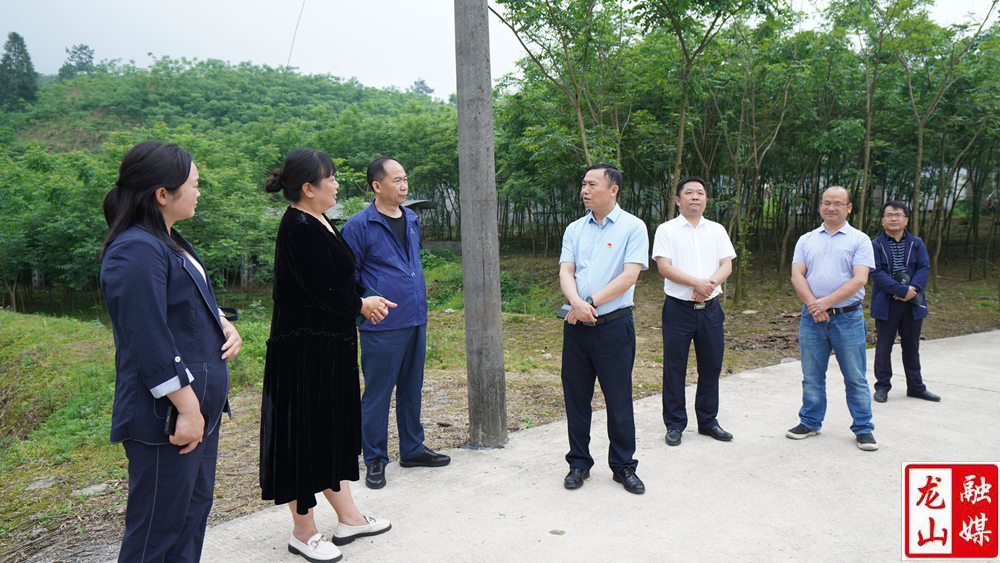 周胜益到洛塔乡调研