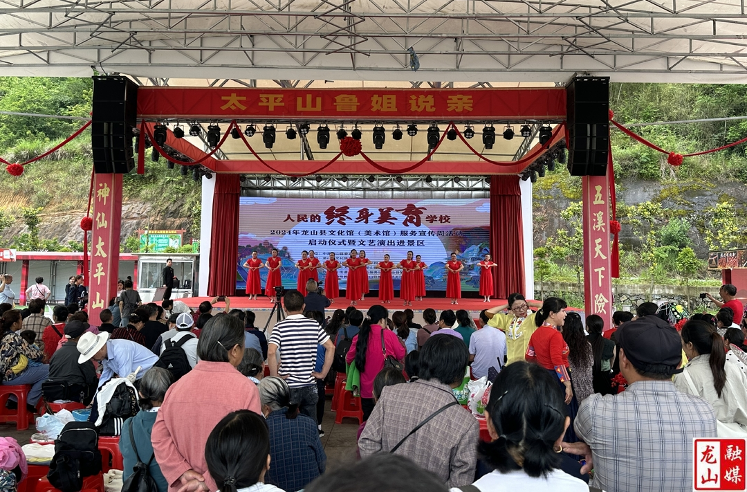 龙山县举办2024年文化馆（美术馆）服务宣传周活动启动仪式