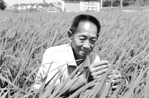 三湘时评丨有终身之乐，无一日之忧