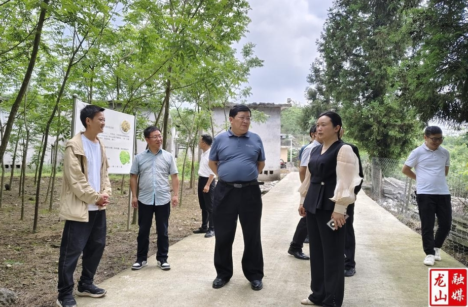 黎新松到洛塔乡调研产业建设