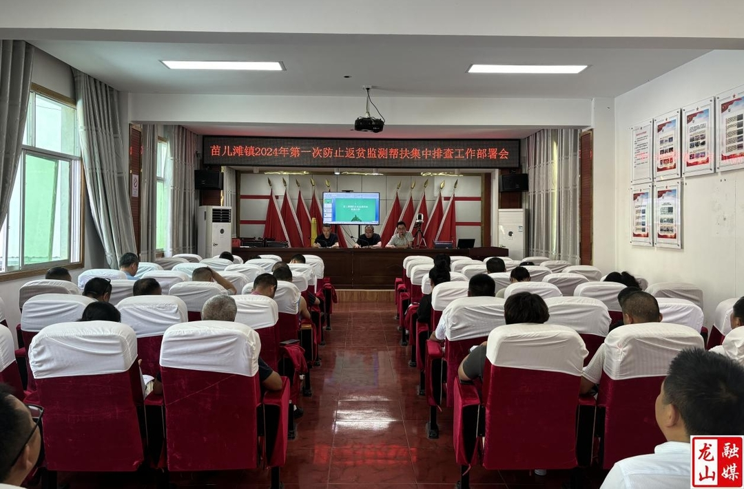 苗儿滩镇开展防返贫监测帮扶工作部署会