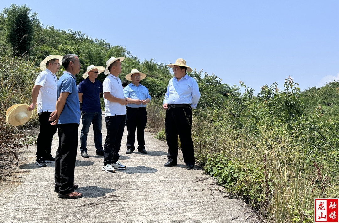 黎新松到内溪乡调研乡村振兴工作