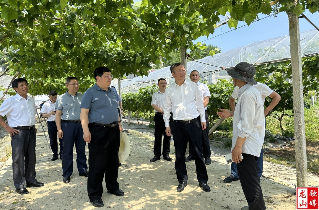 万鹏到石牌镇调研乡村振兴工作