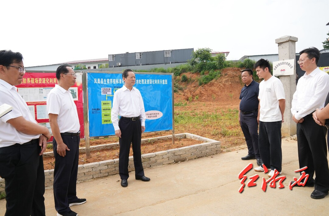 虢正贵：以毫不含糊立行立改的态度和决心 坚决抓好突出生态环境问题整改