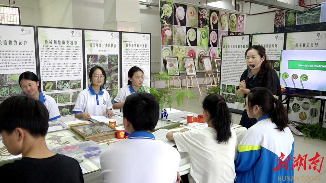 新化举办“蕨代风华”植物科普专题展